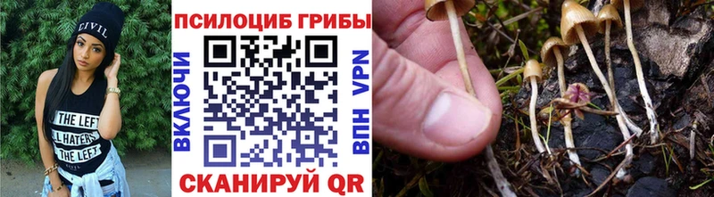 ссылка на мегу ONION  Урус-Мартан  Галлюциногенные грибы мухоморы 
