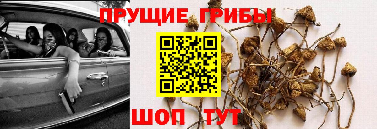 Кетамин Урус-Мартан