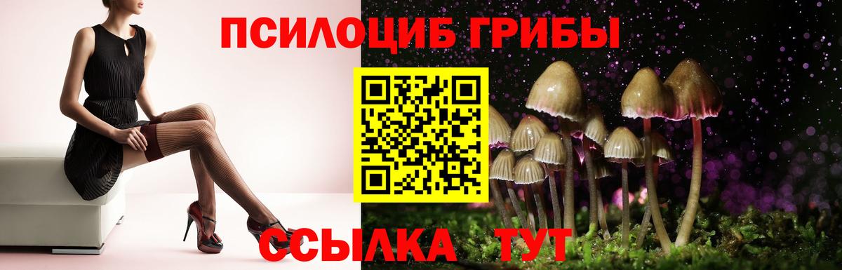 Галлюциногенные грибы прущие грибы Урус-Мартан